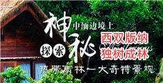 逼逼免费网站