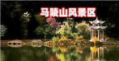 男生插入女生下面视频高潮